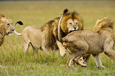 《异度神剑3》直面会公布 6月22日晚10点