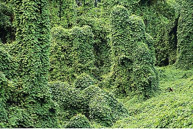 云顶之弈S8.5卡牌阵容搭配，S8.5卡牌大师阵容装备站位攻略