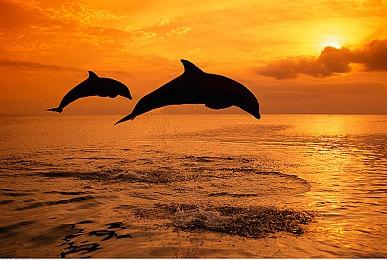 《十字军之王3》新DLC“伊比利亚的命运”5月31日发布